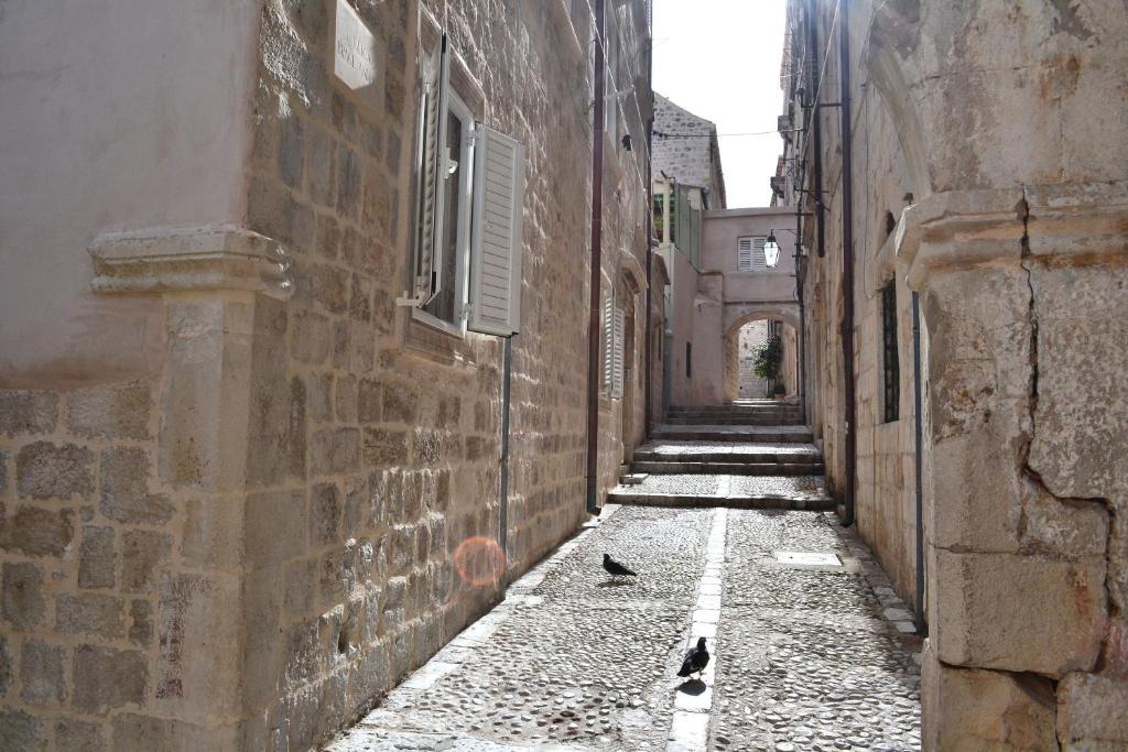Apartment Divina Ragusa Dubrovnik Exterior foto